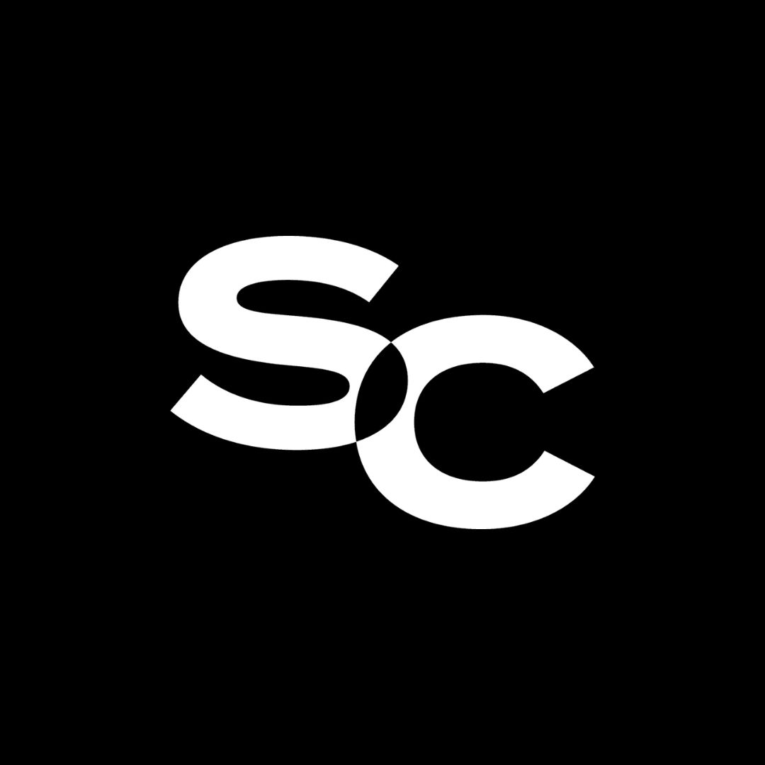 <b>Social Chameleon</b>